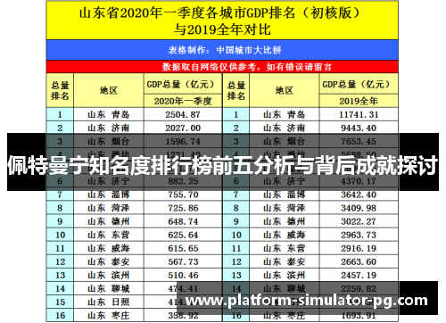 佩特曼宁知名度排行榜前五分析与背后成就探讨