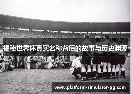 揭秘世界杯真实名称背后的故事与历史渊源