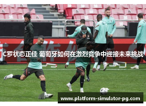 C罗状态正佳 葡萄牙如何在激烈竞争中迎接未来挑战