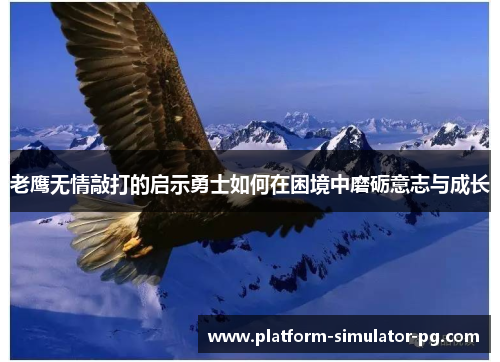 老鹰无情敲打的启示勇士如何在困境中磨砺意志与成长 老鹰无情敲打的启示勇士如何在困境中磨砺意志与成长