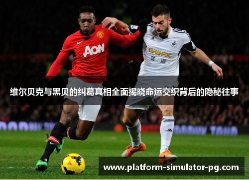 维尔贝克与黑贝的纠葛真相全面揭晓命运交织背后的隐秘往事