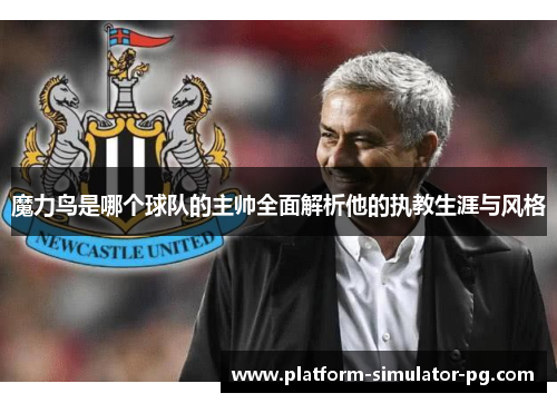 魔力鸟是哪个球队的主帅全面解析他的执教生涯与风格 魔力鸟是哪个球队的主帅全面解析他的执教生涯与风格