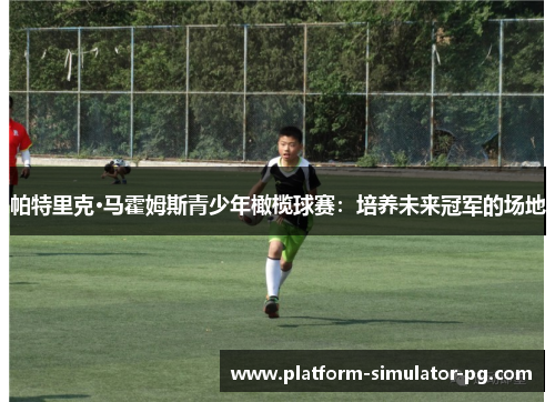 帕特里克·马霍姆斯青少年橄榄球赛：培养未来冠军的场地