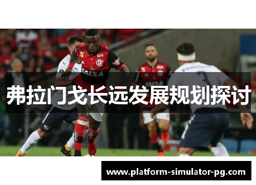 弗拉门戈长远发展规划探讨