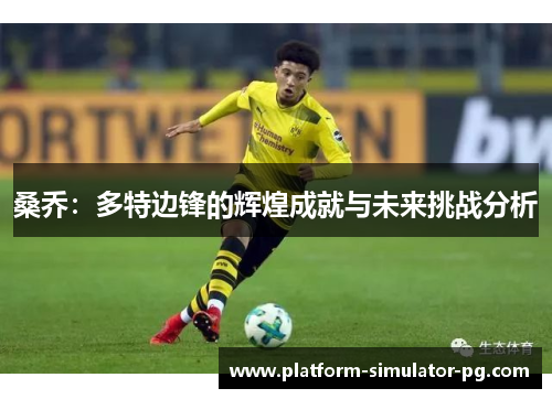 桑乔：多特边锋的辉煌成就与未来挑战分析